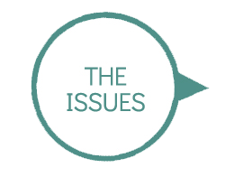 The Issues