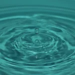 Implementing Lifecycle Management in Your Business